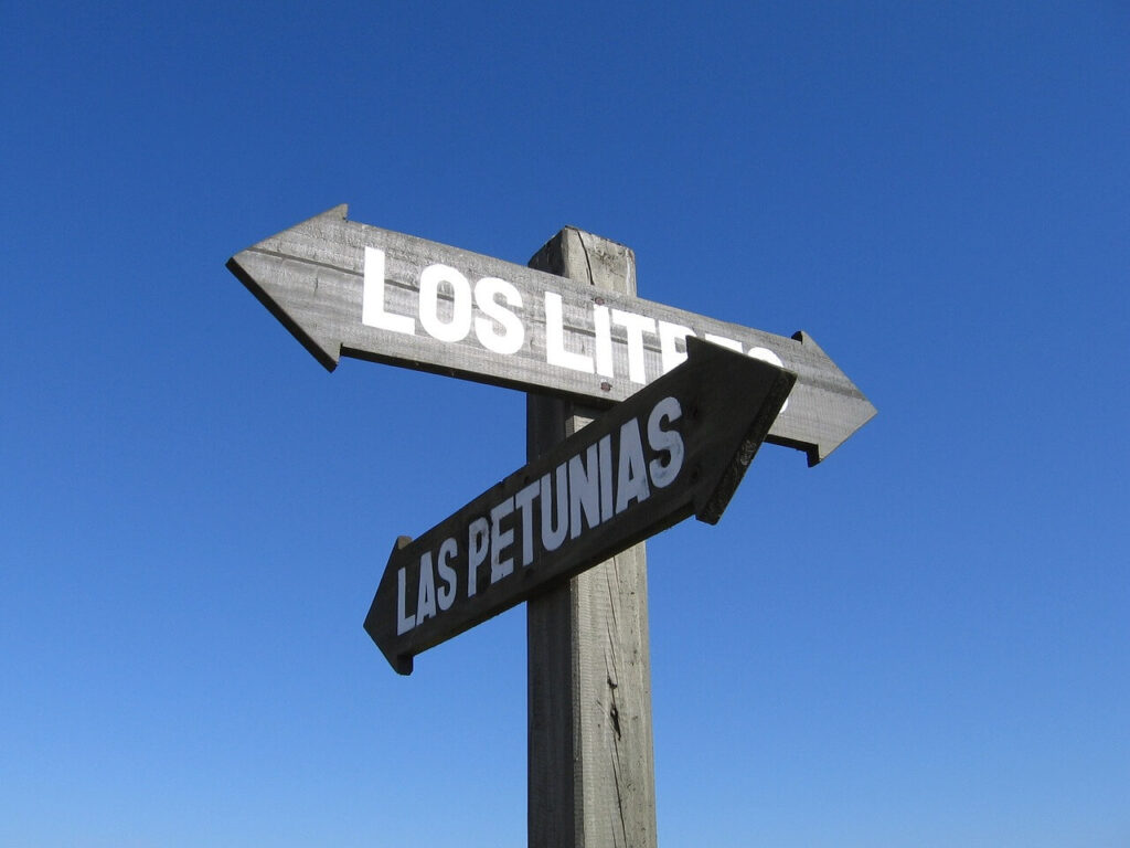 教員に向いてない人のサバイバル戦略【道は3つしか無い】